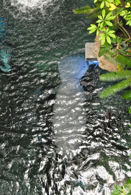 International Herp Symposium 2011