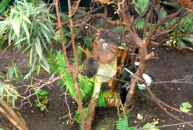 International Herp Symposium 2011