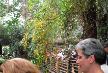 International Herp Symposium 2011