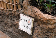 International Herp Symposium 2011
