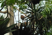 International Herp Symposium 2011