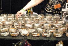 Scenes from the 2011 Tinley Park NARBC