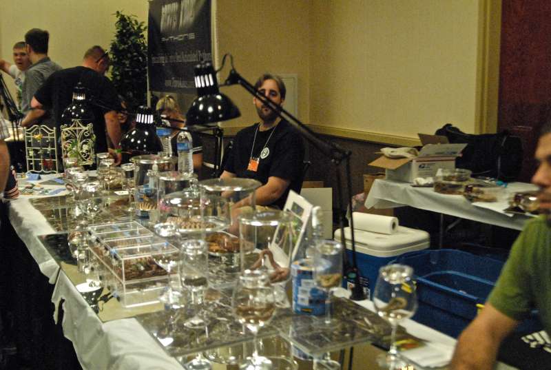 Scenes from the 2011 Tinley Park NARBC