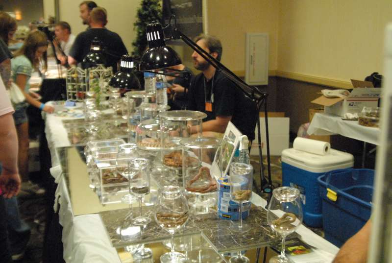 Scenes from the 2011 Tinley Park NARBC