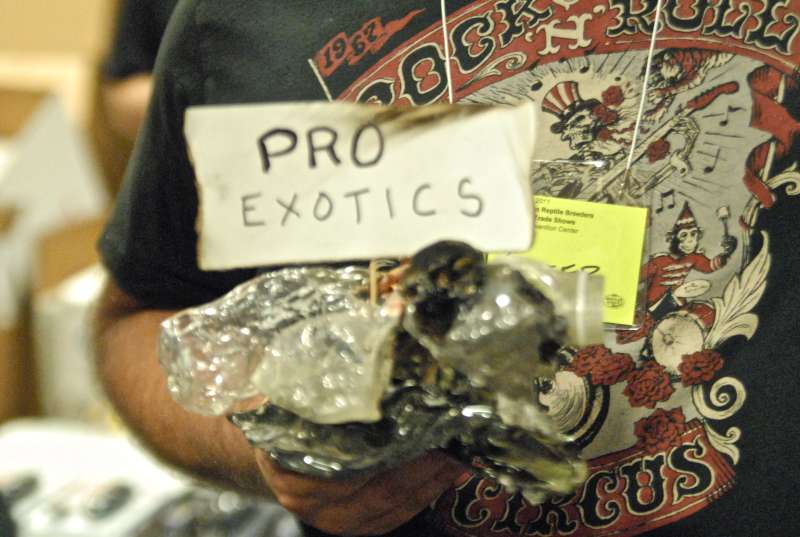 Scenes from the 2011 Tinley Park NARBC