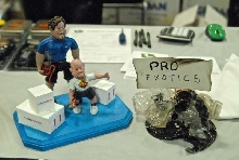 Scenes from the 2011 Tinley Park NARBC