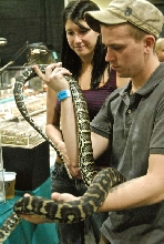 Scenes from the 2011 Tinley Park NARBC