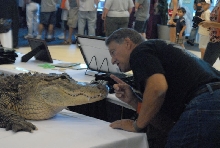 Scenes from 2011 NARBC Tinley Park