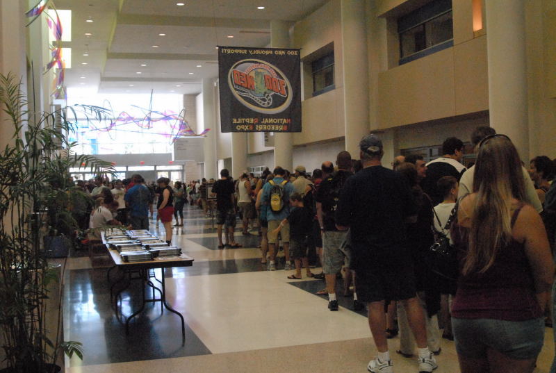 Scenes from Daytona NRBE 2011
