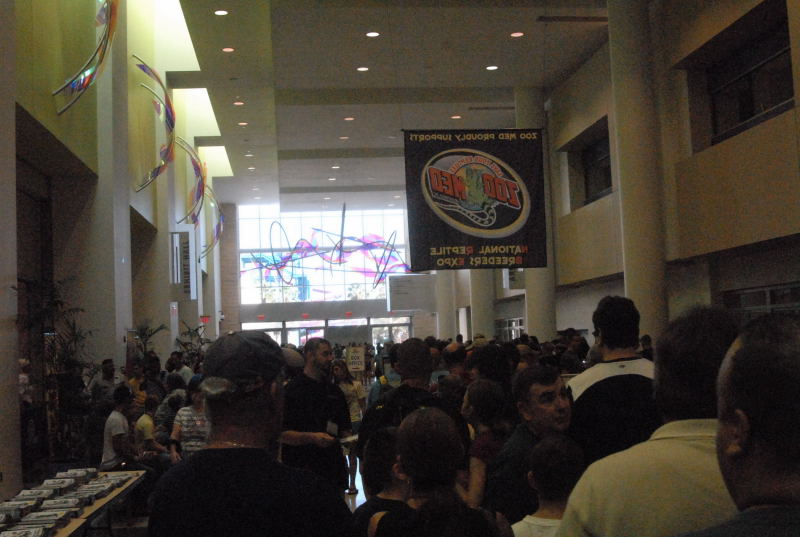 Scenes from Daytona NRBE 2011