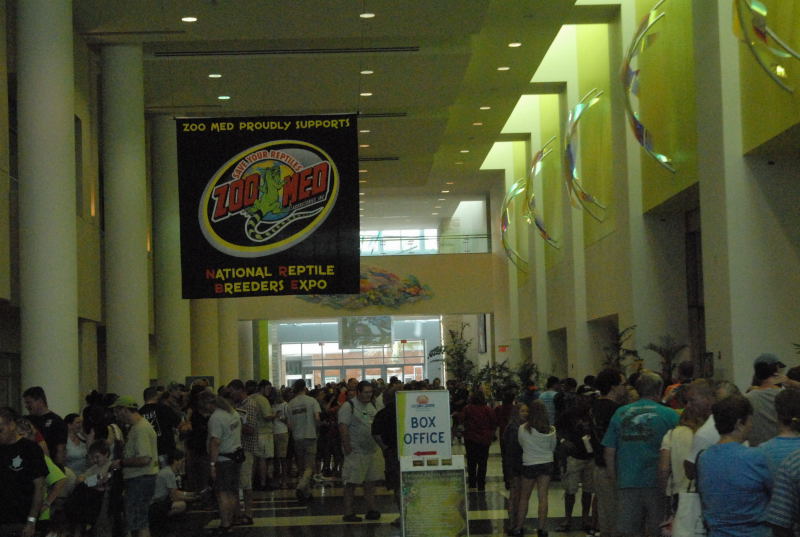 Scenes from Daytona NRBE 2011
