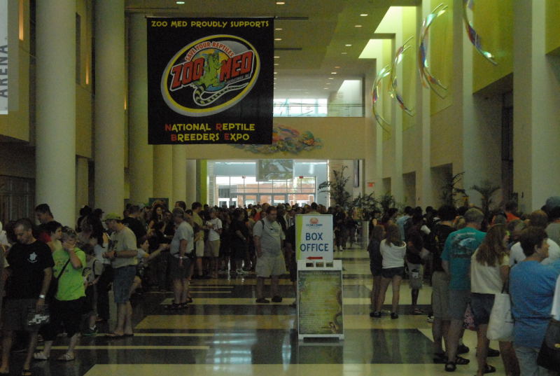 Scenes from Daytona NRBE 2011