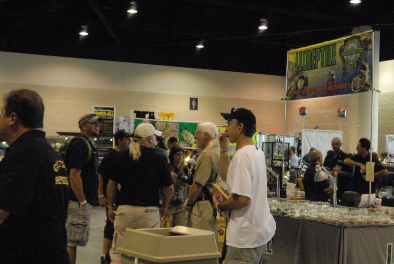 Scenes from Daytona NRBE 2011
