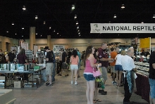 Scenes from Daytona NRBE 2011