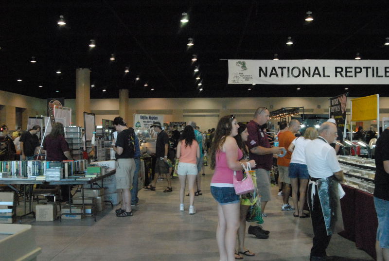 Scenes from Daytona NRBE 2011
