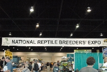 Scenes from Daytona NRBE 2011