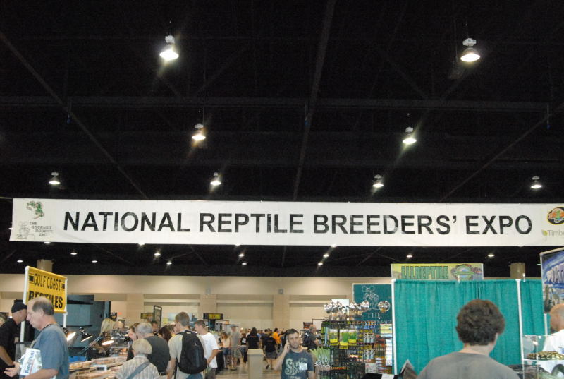 Scenes from Daytona NRBE 2011