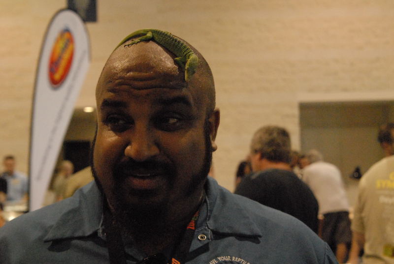 Scenes from Daytona NRBE 2011