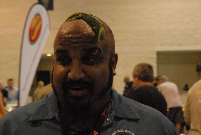 Scenes from Daytona NRBE 2011