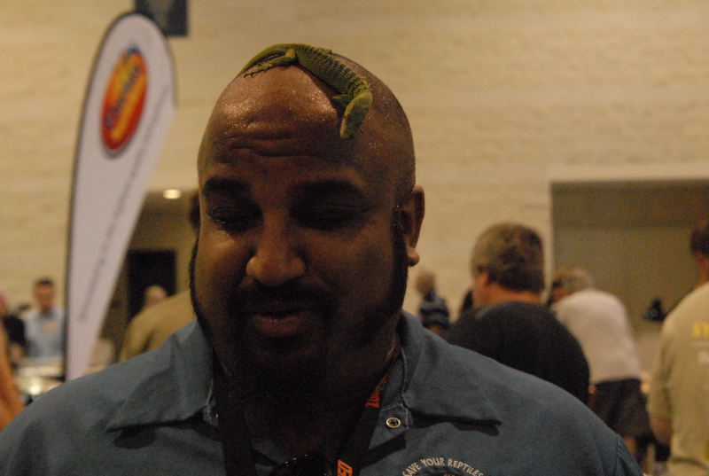 Scenes from Daytona NRBE 2011