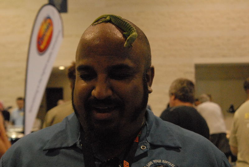 Scenes from Daytona NRBE 2011