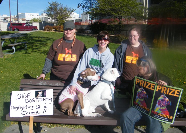 Demonstration against Dog Fighting April 26, 2010
