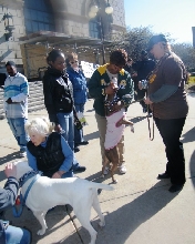 Demonstration against Dog Fighting April 26, 2010