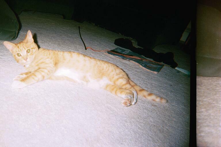 misty