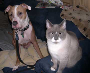 Butters the Cat and Caesar the Dog