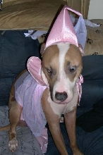 Pretty as a princess