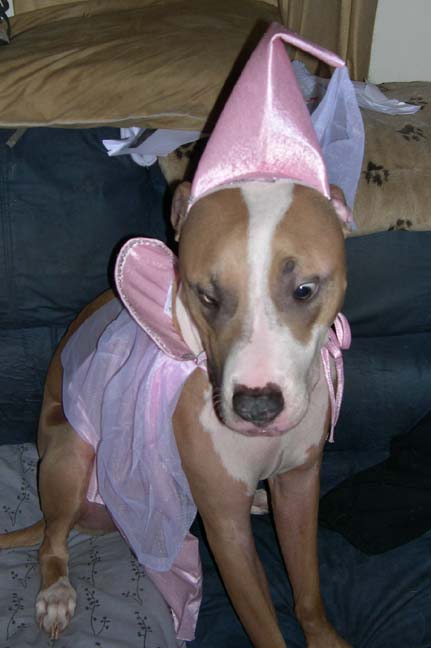 Pretty as a princess