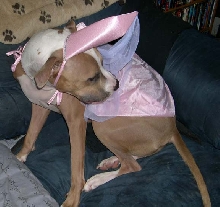 Pretty as a princess
