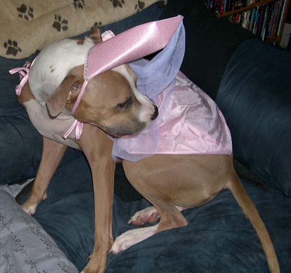 Pretty as a princess