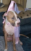 Pretty as a princess