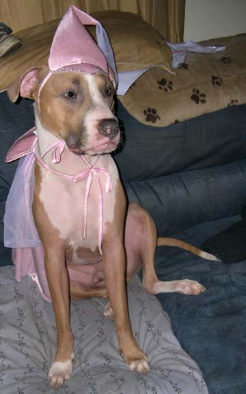 Pretty as a princess