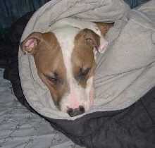 Mom Im COLD!