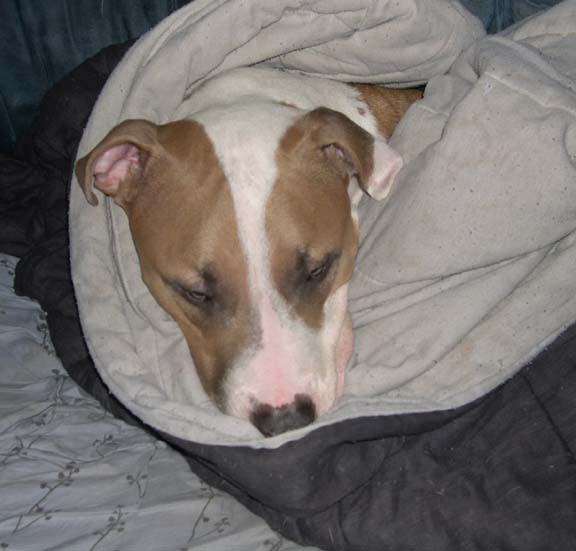 Mom Im COLD!