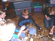 Snake Days