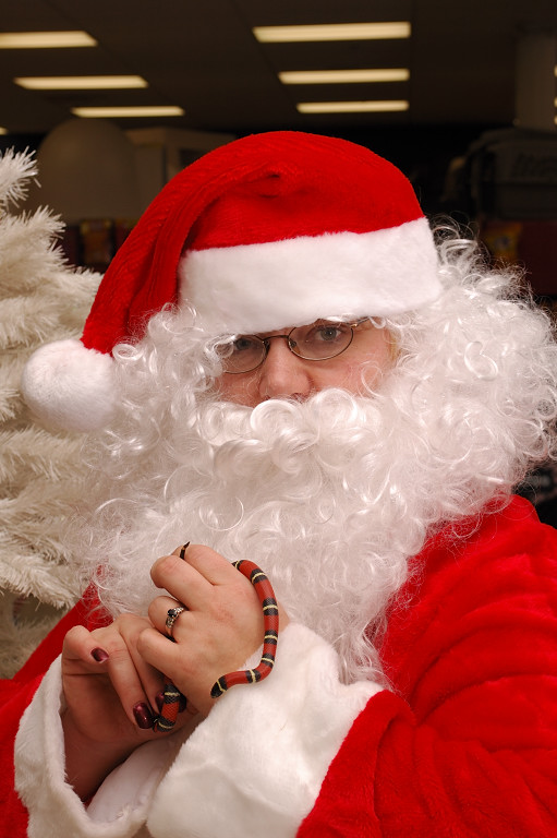 Cindy Claus