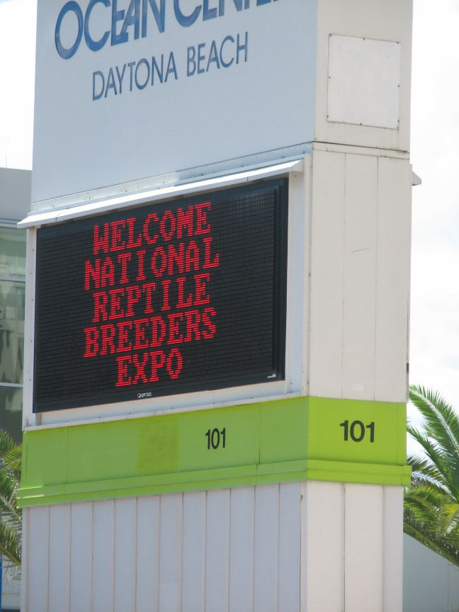 Photos from the National Reptile Breeders Expo 2010 Daytona Beach Florida -