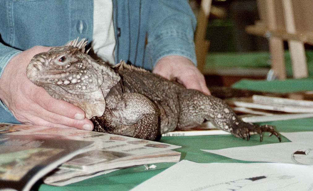 Chicago Herp Society's Reptile Fest