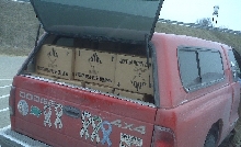 This is how you order rodents