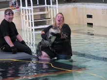 See Ya Later Alligator
