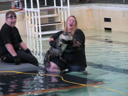 See Ya Later Alligator