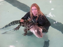 See Ya Later Alligator
