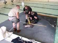 See Ya Later Alligator