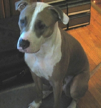 Caesar