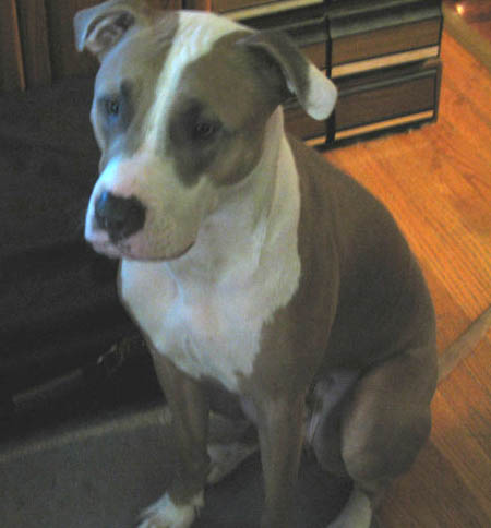 Caesar