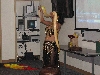 A smattering of photos from Las Vegas December 2010.
