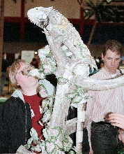 Chicago Herp Society's Reptile Fest